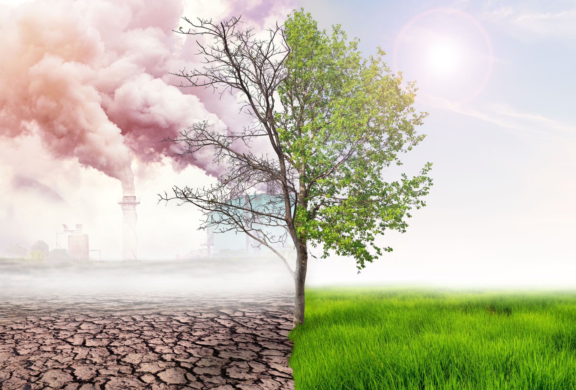 Environment & Climate Resilience